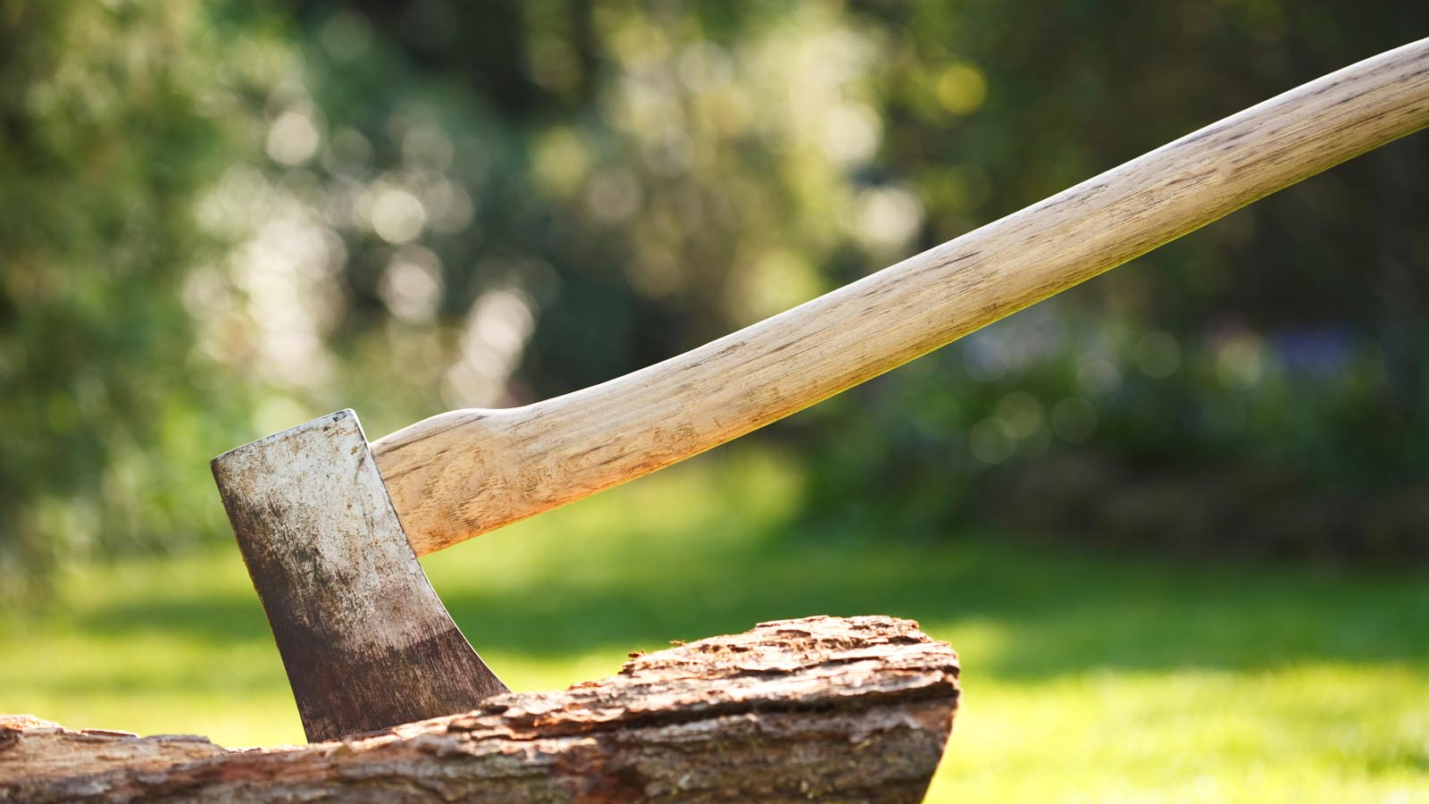 The 5 Types Of Ax Everyone Should Know