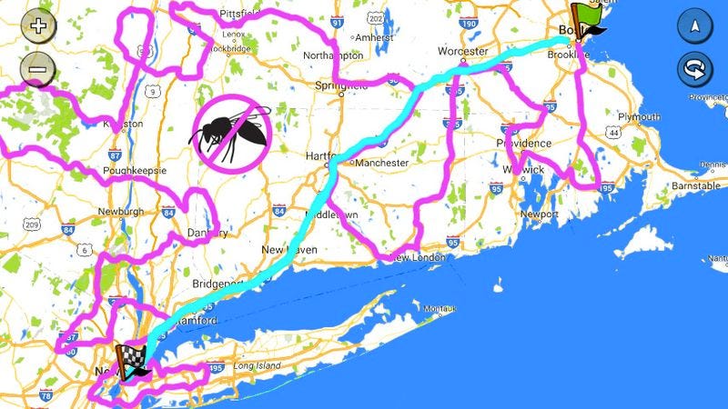 Illustration for article titled A Commitment To Safety: Garmin GPS Systems Will Now Reroute Cars To Avoid Wasps