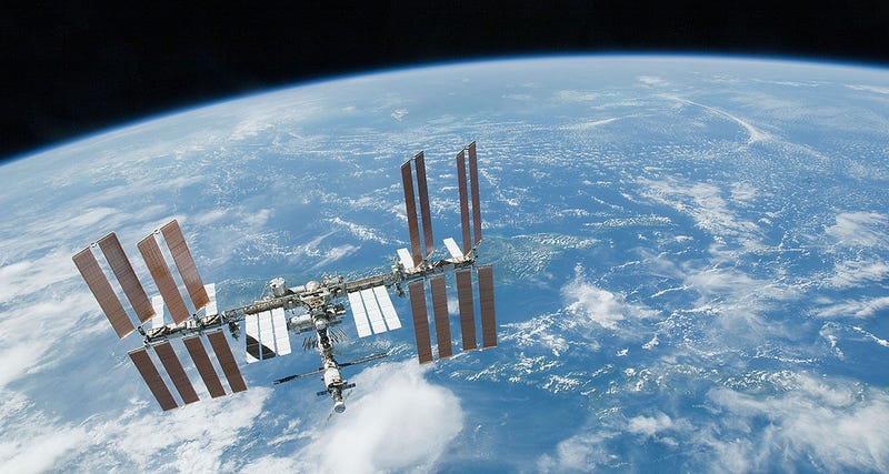 Illustration for article titled Astronautas encuentran microorganismos marinos vivos en el espacio