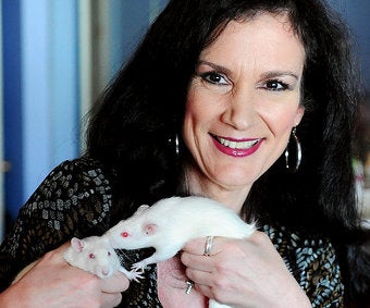 Illustration for article titled Rat Enthusiast: "I Can See God In Their Eyes."