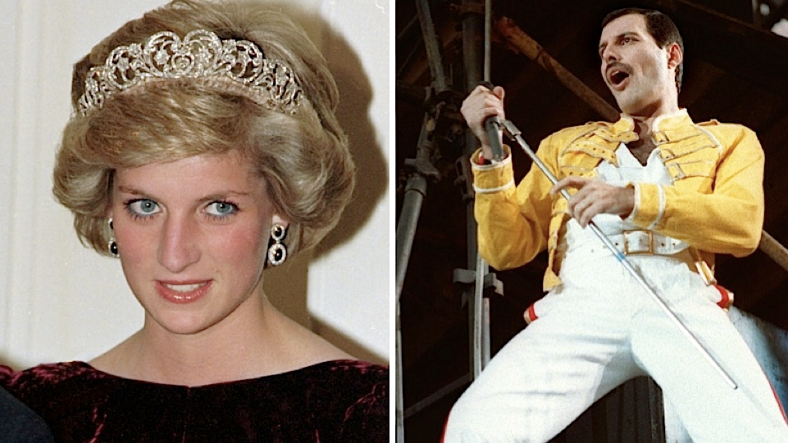 was freddie mercury gay