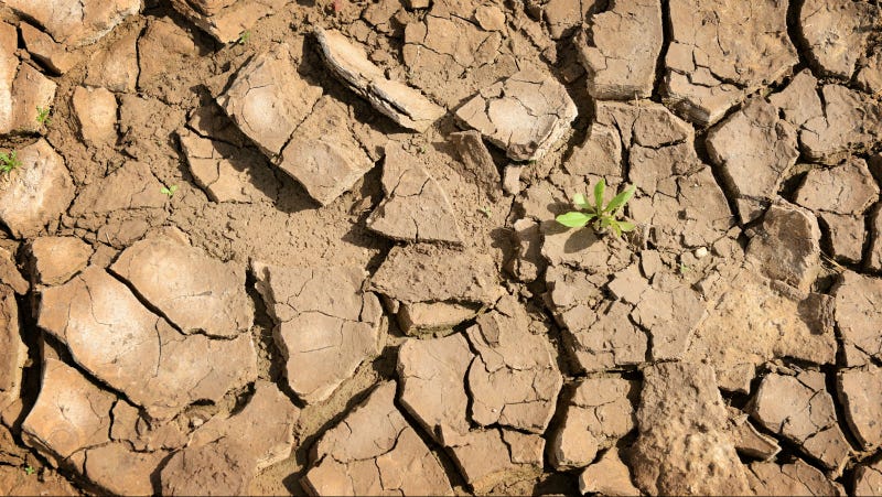 how-to-conserve-water-during-a-drought