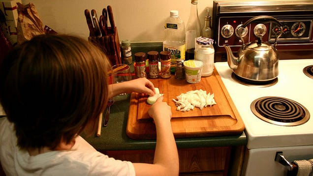 essay on teaching someone how to cook essay on teaching someone how to cook