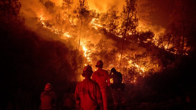 FCC Criticized for Surrendering Power to Punish Verizon After Firefighters Got Throttled During Wildfire
