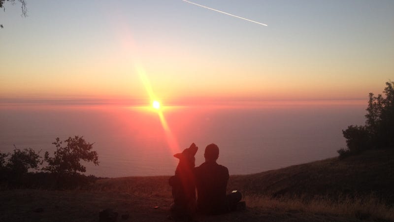 Illustration for article titled The Best Campsite In Big Sur