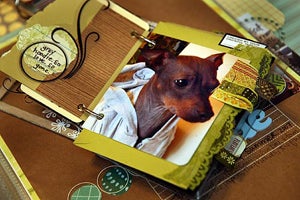 Illustration for article titled Scrapbooking Rock Star Victim Of Scrappy Smackdown