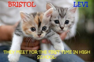 Bristol Porn - The Story Of Bristol And Levi, As Depicted By Cats