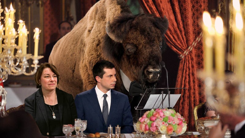 Illustration for article titled Nation’s Bison Hold Lavish Fundraiser In Effort To Get 2020 Candidates To Support Environment