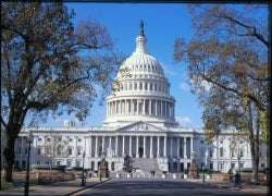 Illustration for article titled Mr. Karmazin Goes to Washington: Siriusly You Guys, Let Us Merge! We'll Do Anything
