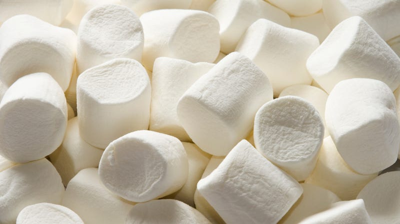 Marshmallow test shows Gen Z is more patient than Gen X