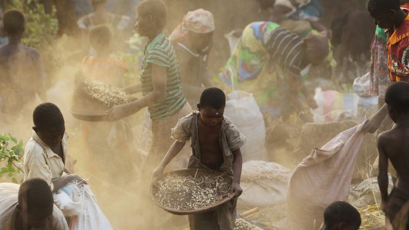 Illustration for article titled World Hunger Is On the Rise and ‘Climate Shocks’ Are Partly to Blame, UN Says