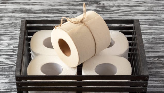 Is Bamboo Toilet Paper All It’s Cracked Up to Be?