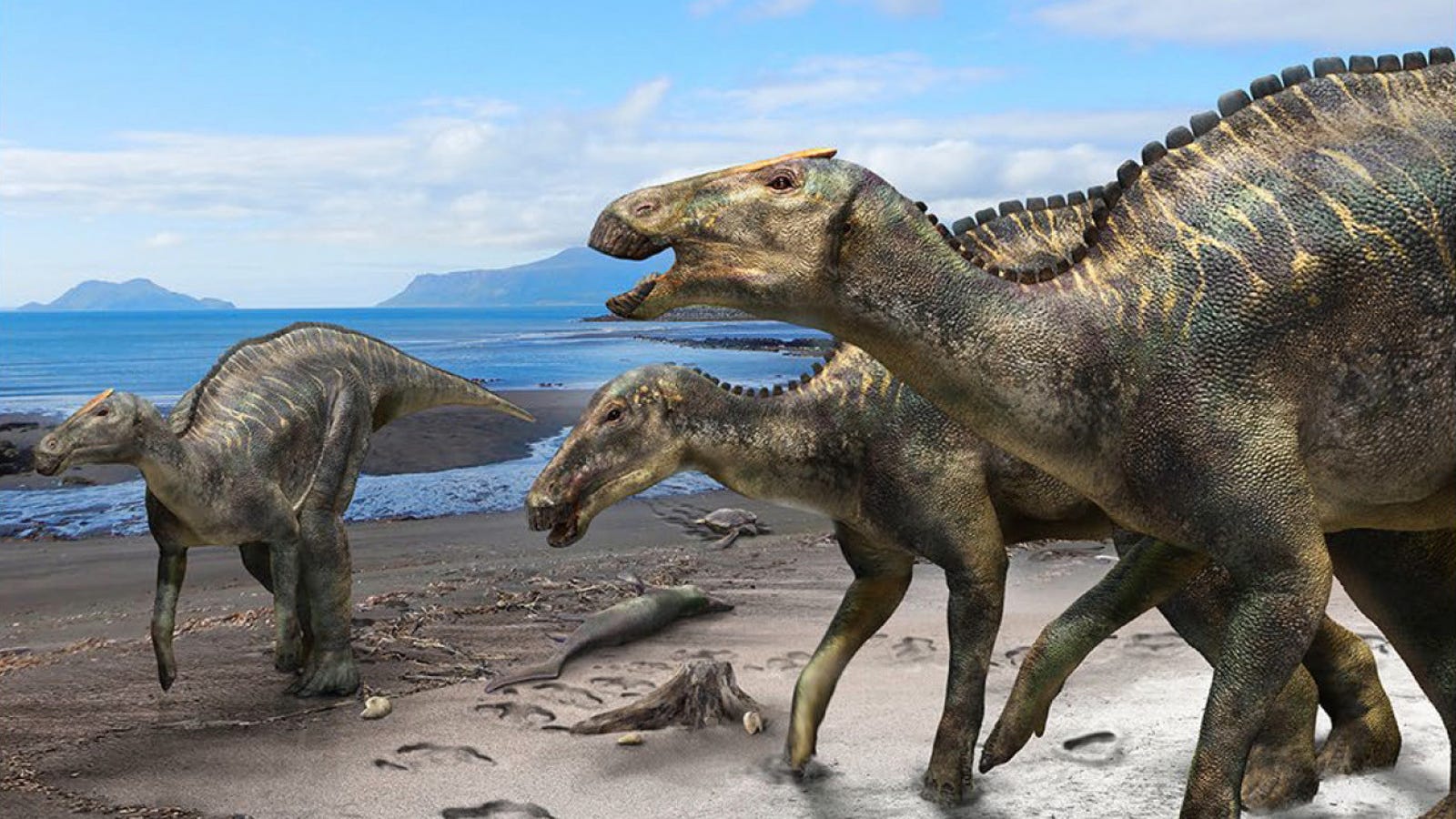 Download Newly Discovered Japanese Duck-Billed Dinosaur Was a ...