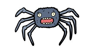 Illustration for article titled Meet the Spider With the Tiny Detachable Penis