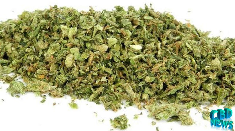 Illustration for article titled CBD Flowers Shake – New Product Trend