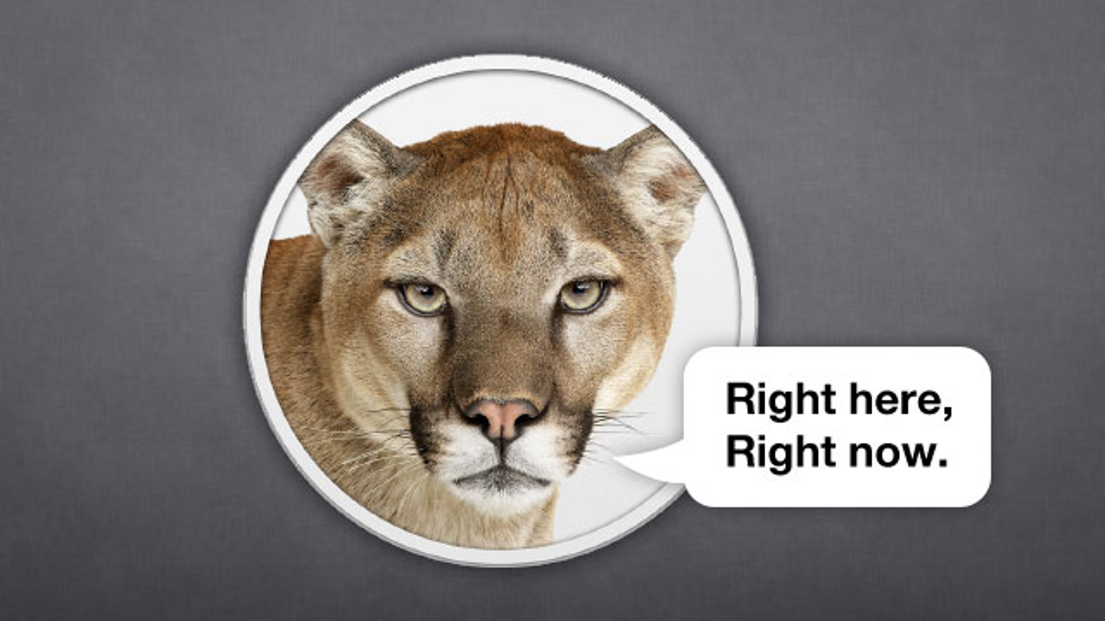 best buy os x mountain lion