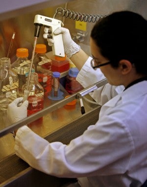 Illustration for article titled New Rules Will Make Stem Cell Research Easier