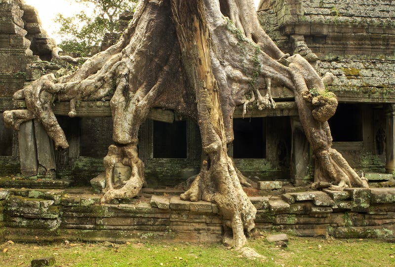 Illustration for article titled American Sisters Arrested For Taking Butt Selfies in Cambodian Temple