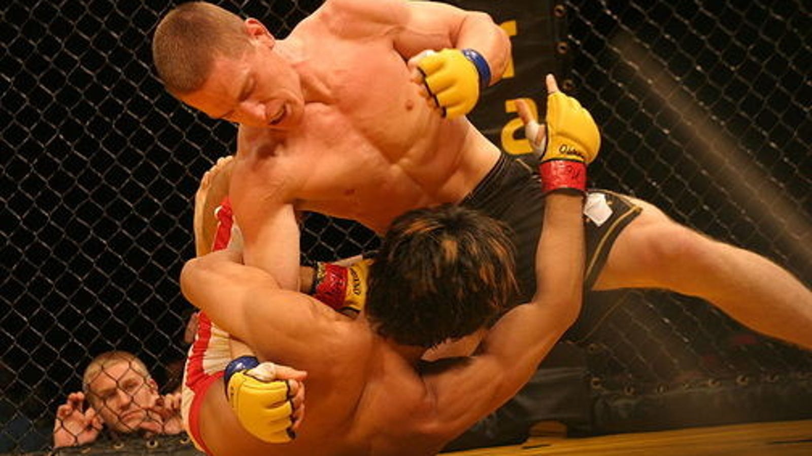 Mixed Martial Arts Title, New Shooter In Works At EA?