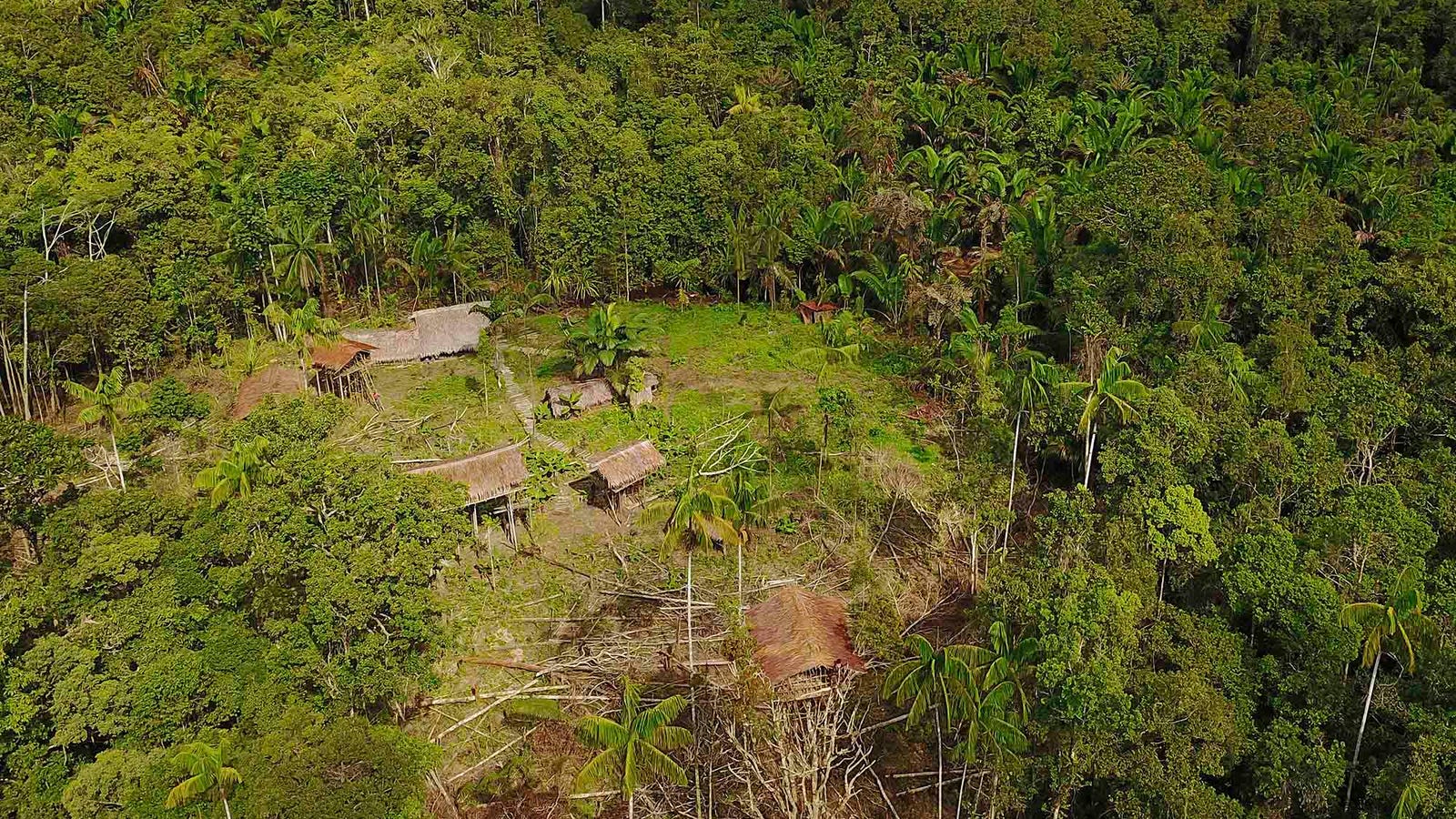 Pros And Cons Of Seeking Out Uncontacted Peoples