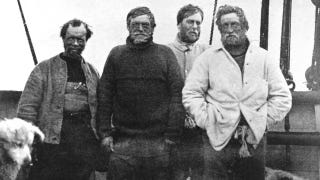 Illustration for article titled Would you buy a 104-year-old biscuit from Ernest Shackleton?
