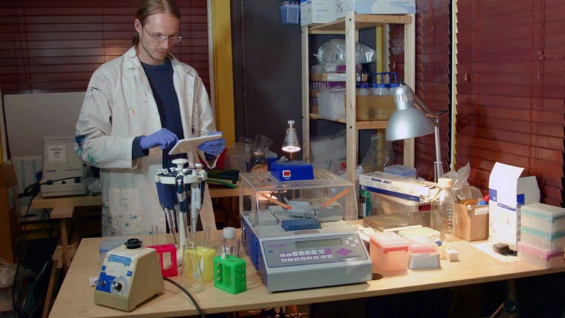 Illustration for article titled Un grupo de biohackers trabaja en crear insulina genérica y libre de patentes