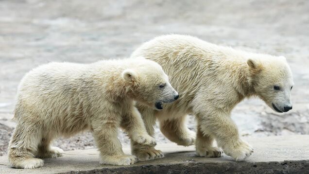 How to frame questions to get honest answers from people you manage