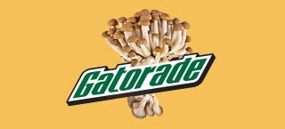 Illustration for article titled North Korea Invented a Gatorade That's Made From Fungus