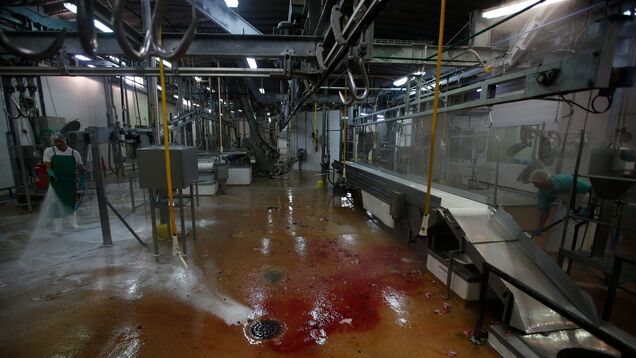 A slaughterhouse cleaning company paid a $1.5 million fine for illegally employing more than 100 children A slaughterhouse cleaning company paid a $1.5 million fine for illegally employing more than 100 children