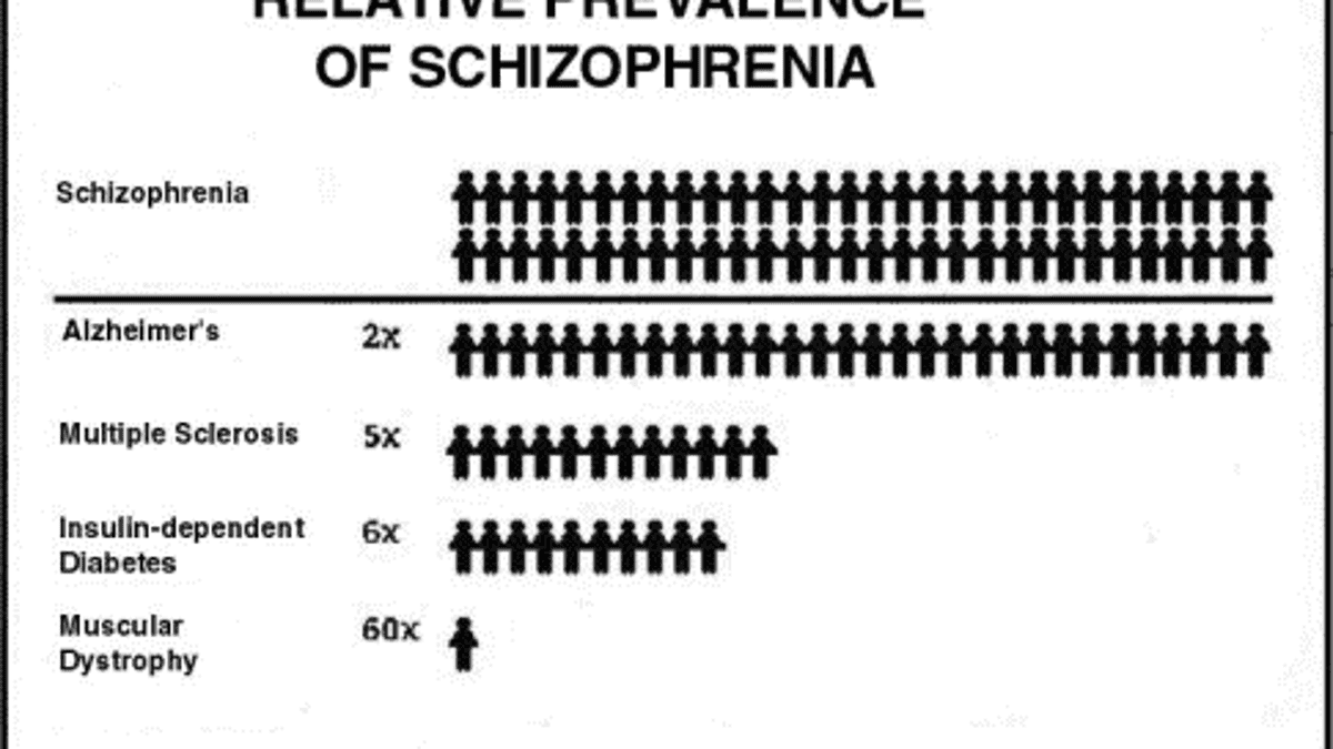 paranoid schizophrenia examples