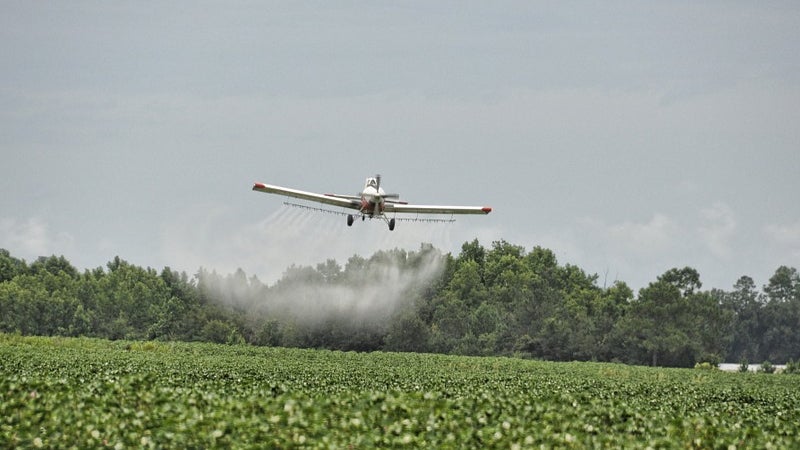 South Carolina Zika spraying kills honeybees