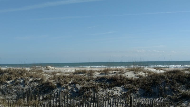 Illustration for article titled Greetings from St. Augustine Beach!