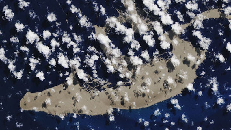 Illustration for article titled Hay una gigantesca roca volcánica flotando en el océano, y podría ayudar a impulsar innumerables formas de vida
