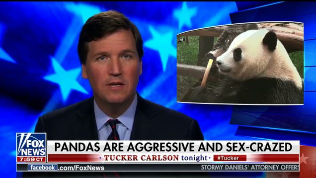 iujwcxlgcbvompzfumha.jpg