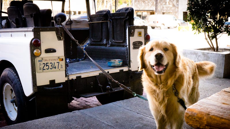Illustration for article titled Tiny horses, Porsches, and dogs in Land Rovers: strange days in
Malibu