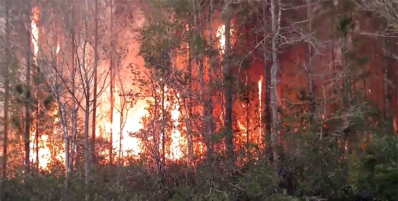 Florida Book Burning Ignites Wildfire, Destroys Homes Florida Book Burning Ignites Wildfire, Destroys Homes