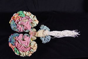 Illustration for article titled Soft In The Head