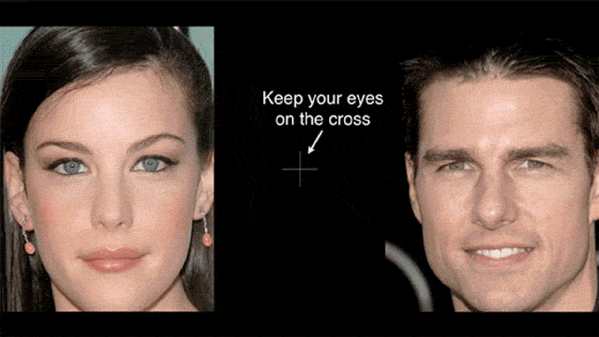 20 optical illusions that break the brain completely 20 optical illusions that break the brain completely