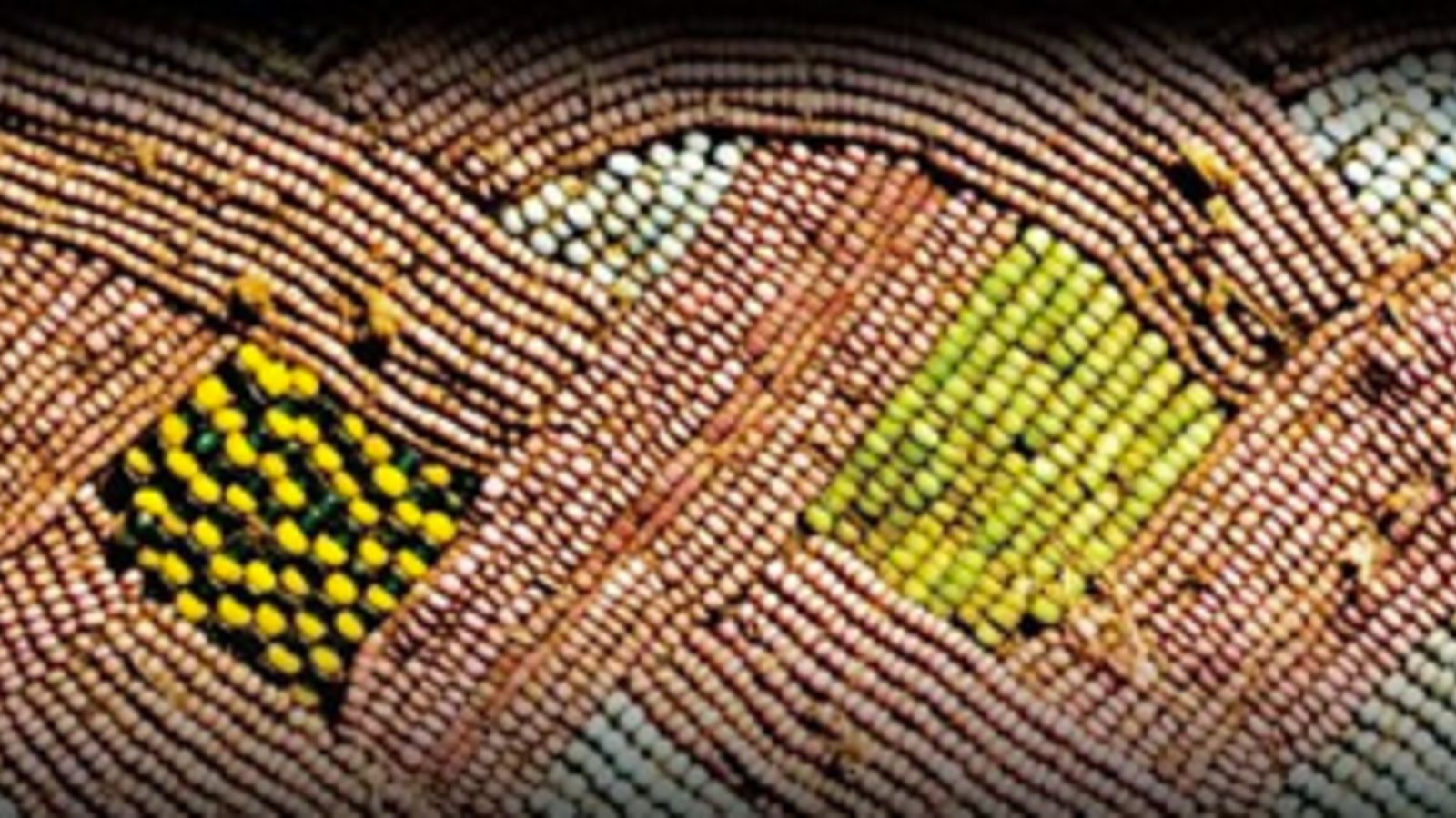 Illustration for article titled The Root Gift List: Buy Black in 2010