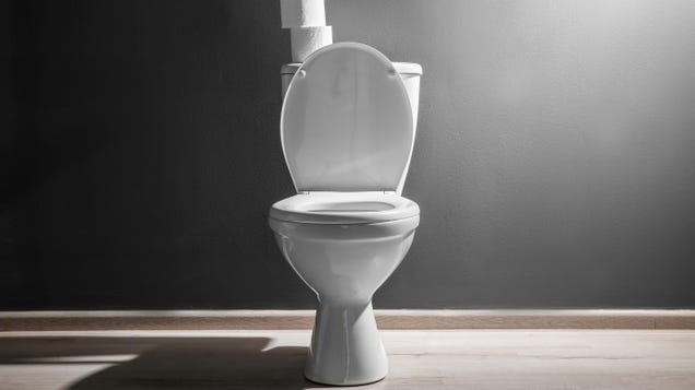 Signs That It's Time to Replace Your Toilet