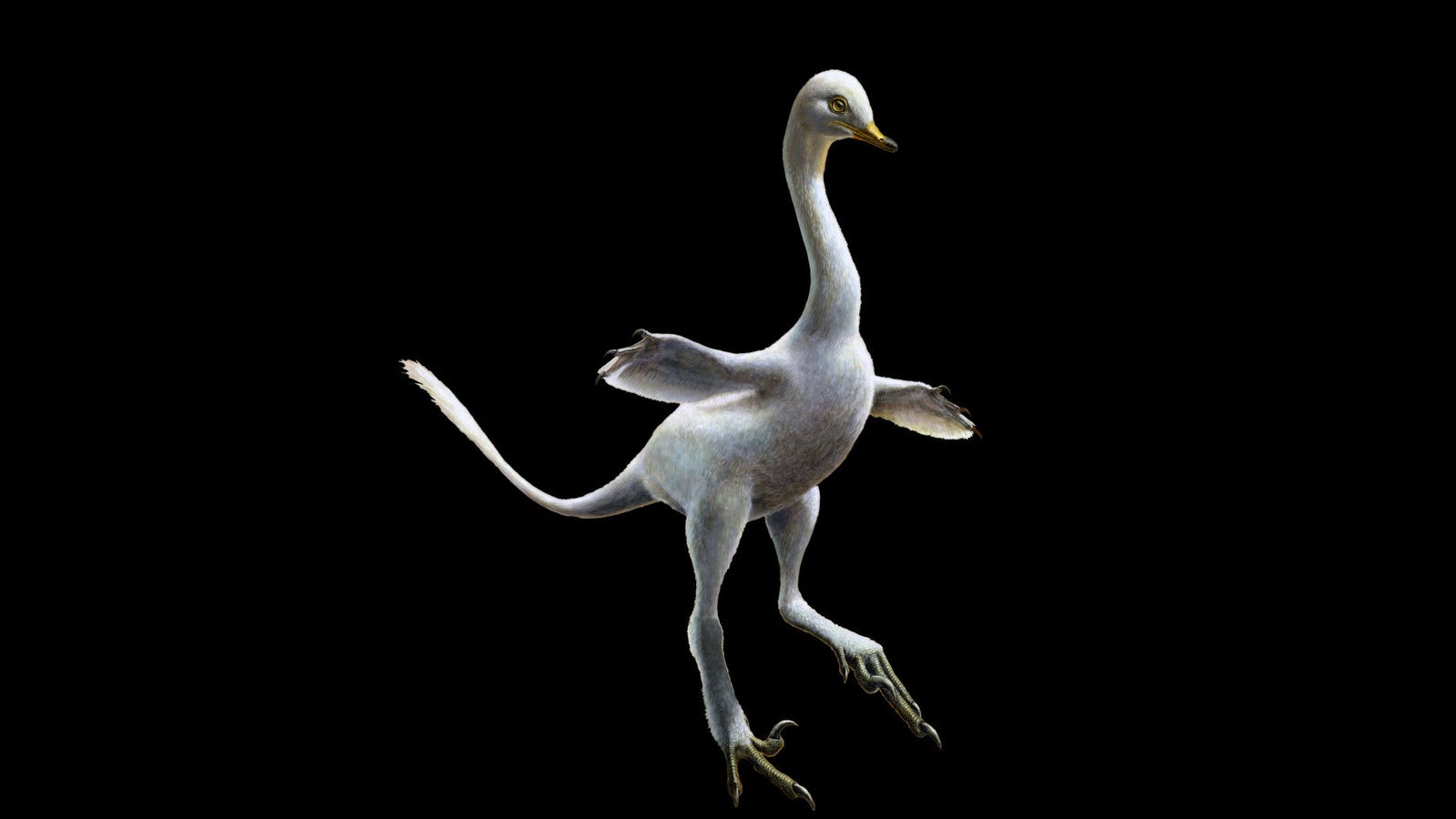 Freaky New Dinosaur Was Part Duck, Part Raptor