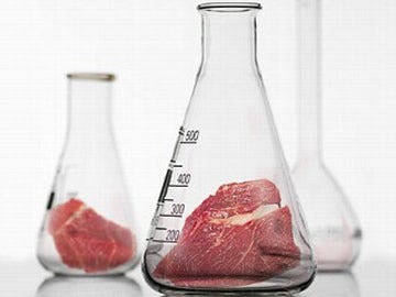 Illustration for article titled Vat-Grown Meat Alive in the Lab, But Not Ready to Eat