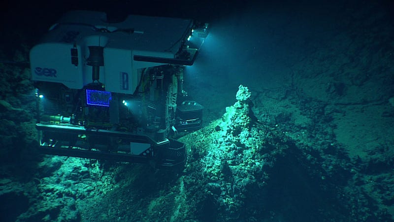 The Impacts of Deep Ocean Mining Will 'Last Forever,' Scientists Warn