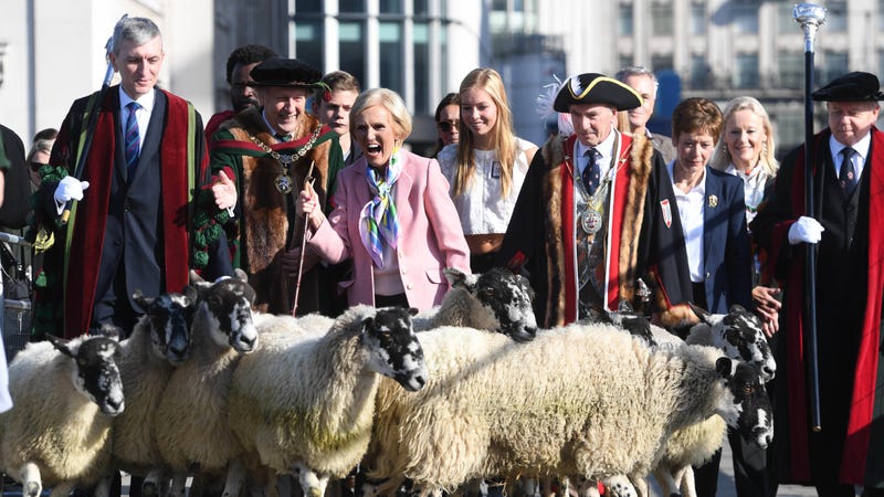 Illustration for article titled A train ride with Mary Berry through the English countryside? Oh, if you insist