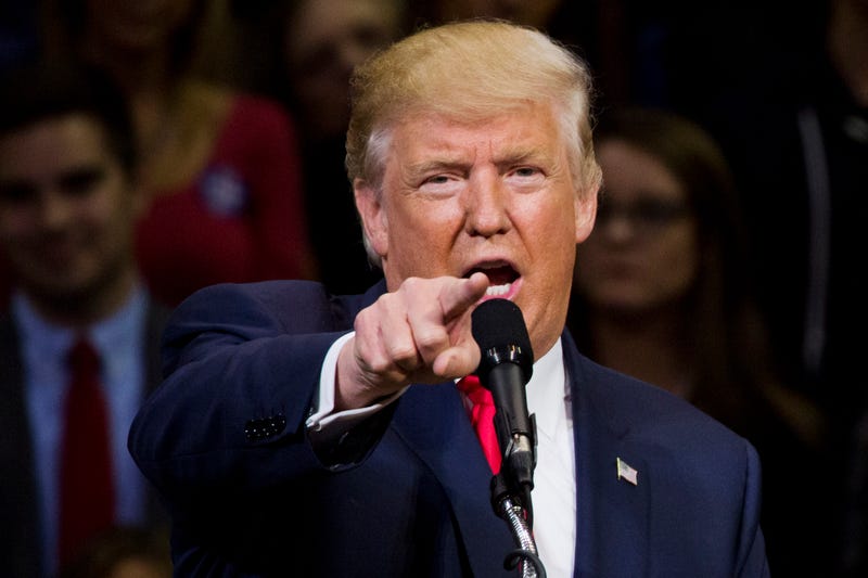 Republican presidential nominee Donald TrumpDOMINICK REUTER/AFP/Getty Images