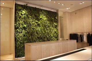 Illustration for article titled Indoor Plantwall Puts Bloggers Back in Touch with Nature
