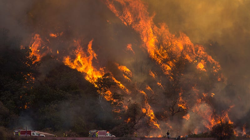 Photo: Getty