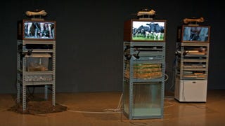Illustration for article titled Weird art project turns bones into speakers