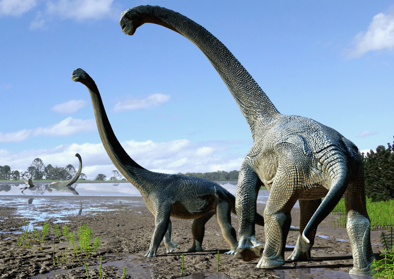 longnecked dinosaur