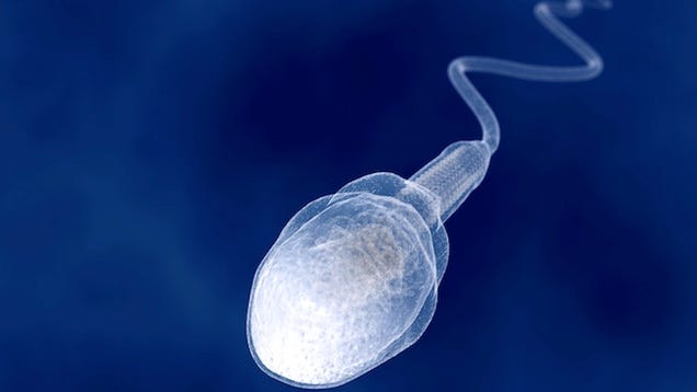 Best of Heat kills sperm kills sperm Heat